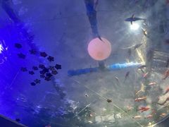 -青岛海底世界-水族馆