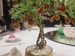 -西郊5号·Maggie 5