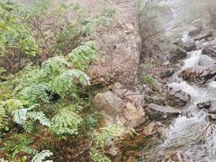 -妙峰山风景名胜区