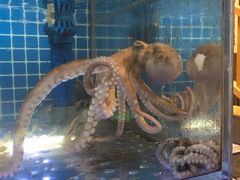 -青瓦餐厅·生鱼片·韩园烤肉(西塔店)