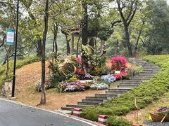 -广州市白云山风景名胜区