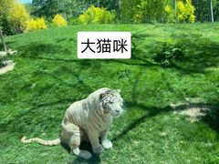 -北京野生动物园