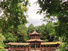 -铁山坪森林公园