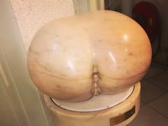 -阿姆斯特丹性博物馆