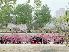 -海棠花溪(元大都城垣遗址公园)
