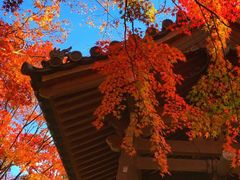 -常寂光寺