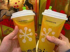 -盛京大奥莱(沈阳奥体店)