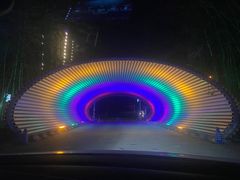 -枫花园汽车电影院(朝阳公园店)