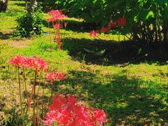 -共青国家森林公园-售票处