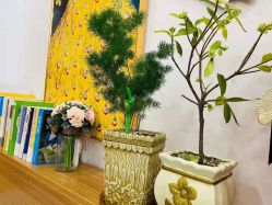 -美凰芳华悦颜产后健康管理中心