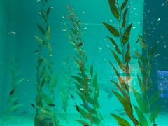 -海合安青岛极地海洋公园