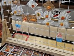 -沼津港精致料理·寿喜烧·烧鸟(青浦宝龙广场日料榜单店)