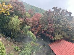 -东庐山观音寺