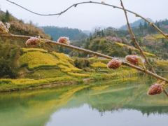 -石潭村