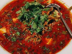 -院8里·少城记忆老川菜(宽窄巷子店)