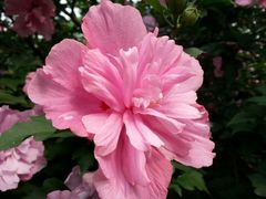 -艾溪湖湿地公园