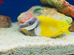 -上海海洋水族馆