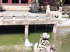 -上海醉白池公园