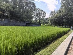 -北坞公园