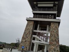 -大湾区中央湿地公园