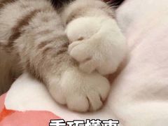 -壹点灵·心理咨询中心(中山公园店)