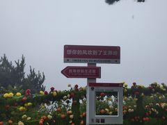 -王莽岭风景区