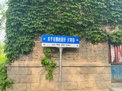 -日照海滨国家森林公园