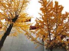 -南岳衡山风景名胜区-南岳大庙