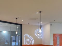 -油梨树 AVOCADO TREE(亮马桥店)