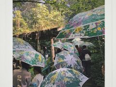 -青青世界