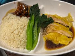 -夜间野生动物园