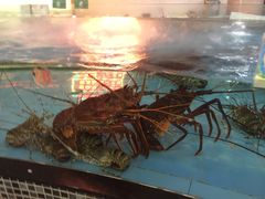 -虎门不夜天海鲜市场