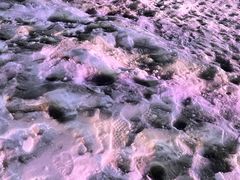 -北京鹿世界主题园