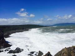 -龙坑生态保护区