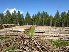 -塞罕坝国家级自然保护区