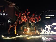 -万达影城(长沙婚庆公园中国巨幕店)