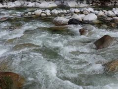 -黑河国家森林公园