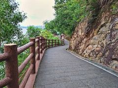 -羚羊峡古栈道森林公园