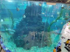 -鸿通城购物中心