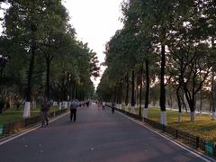 -海珠湖公园