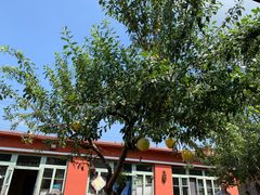 -渔掌门(铁东店)