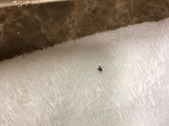 -老味道民宿(栈桥店)