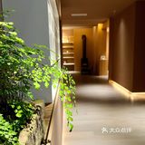 身披黄金甲，万物皆可炸！天妇罗专卖店了解一下？