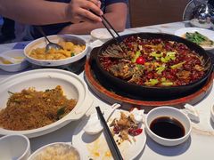 -老板恋上鱼(高新万达店)