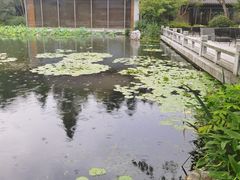 -西湖国宾馆·紫薇厅