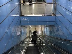 -大龙山(地铁站)