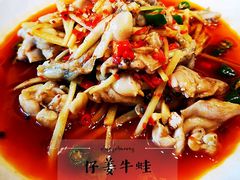 仔姜牛蛙-临江宴(陆家嘴店)
