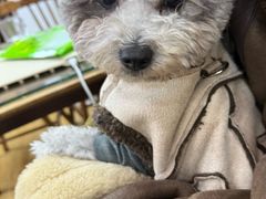 -观桥阁(锦溪店)