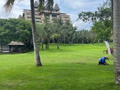 -海南清水湾莱佛士酒店