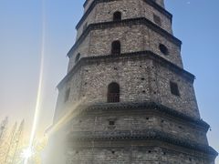 -兴隆文化园景区-兖州博物馆